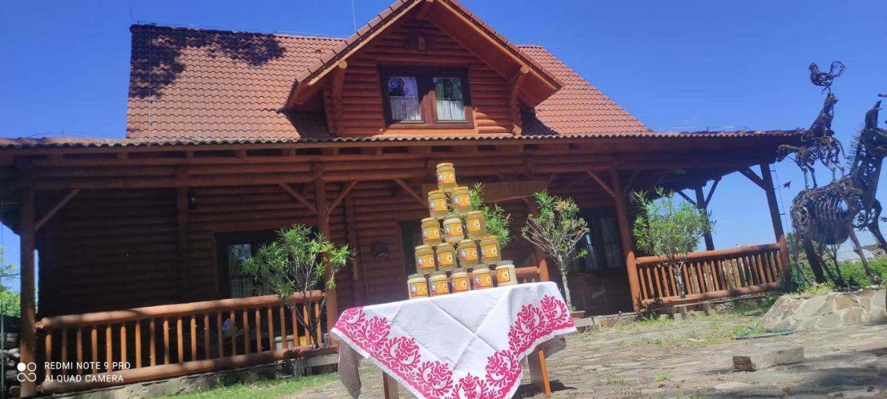 Hotel Dom Árgyélus - Árgyélus ház - Fesztypark Martovce Exterior foto